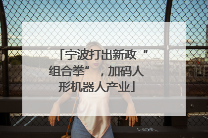 宁波打出新政“组合拳”，加码人形机器人产业