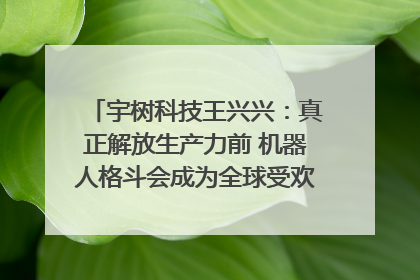 宇树科技王兴兴：真正解放生产力前 机器人格斗会成为全球受欢迎的赛事｜科技观察