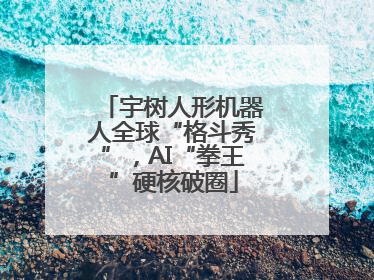 宇树人形机器人全球“格斗秀”，AI“拳王”硬核破圈