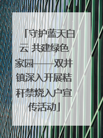 守护蓝天白云 共建绿色家园——双井镇深入开展秸秆禁烧入户宣传活动