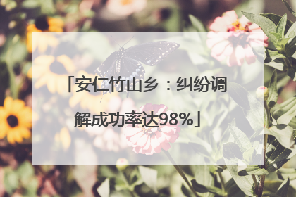 安仁竹山乡：纠纷调解成功率达98%