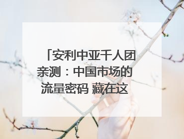 安利中亚千人团亲测：中国市场的流量密码 藏在这些细节里