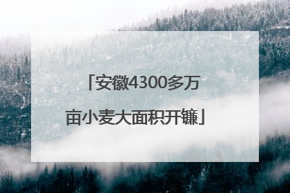 安徽4300多万亩小麦大面积开镰