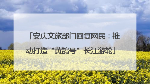安庆文旅部门回复网民：推动打造“黄鹄号”长江游轮