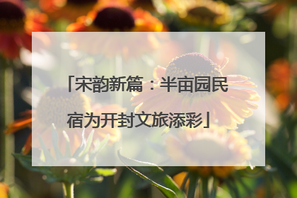 宋韵新篇：半亩园民宿为开封文旅添彩