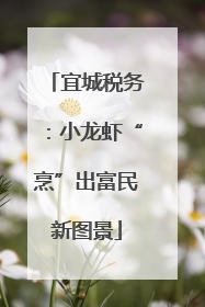 宜城税务：小龙虾“烹”出富民新图景