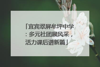 宜宾翠屏牟坪中学：多元社团展风采，活力课后谱新篇