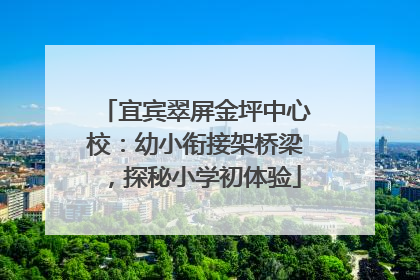宜宾翠屏金坪中心校：幼小衔接架桥梁，探秘小学初体验