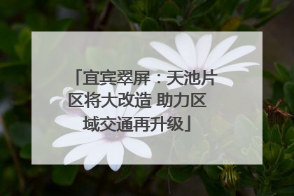 宜宾翠屏：天池片区将大改造 助力区域交通再升级
