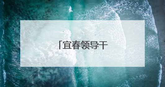 宜春领导干部任前公示