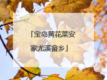宝岛黄花菜安家尤溪畲乡