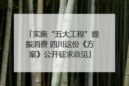 实施“五大工程”提振消费 四川这份《方案》公开征求意见