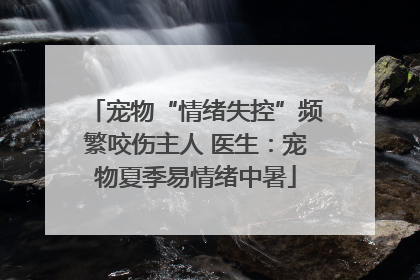 宠物“情绪失控”频繁咬伤主人 医生：宠物夏季易情绪中暑