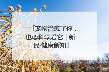 宠物治愈了你，也要科学爱它｜新民·健康新知