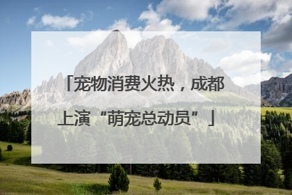 宠物消费火热，成都上演“萌宠总动员”
