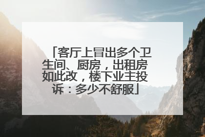 客厅上冒出多个卫生间、厨房，出租房如此改，楼下业主投诉：多少不舒服