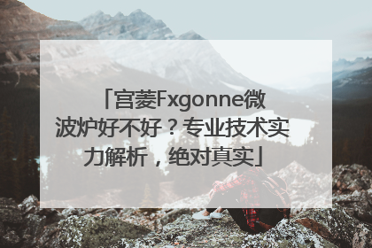 宫菱Fxgonne微波炉好不好？专业技术实力解析，绝对真实
