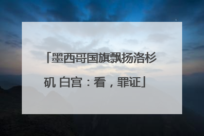 墨西哥国旗飘扬洛杉矶 白宫：看，罪证