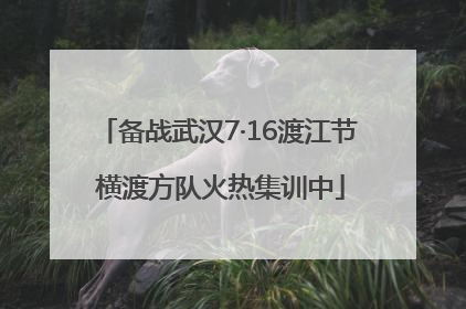 备战武汉7·16渡江节 横渡方队火热集训中