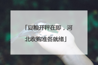 夏粮开秤在即，河北收购准备就绪