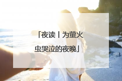 夜读丨为萤火虫哭泣的夜晚
