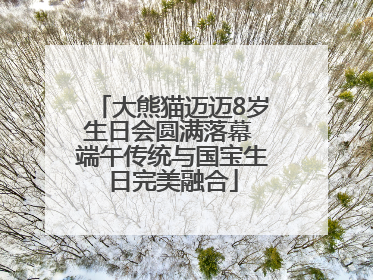 大熊猫迈迈8岁生日会圆满落幕 端午传统与国宝生日完美融合