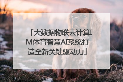 大数据物联云计算IM体育智慧AI系统打造全新关键驱动力