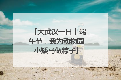 大武汉一日丨端午节，我为动物园小矮马做粽子