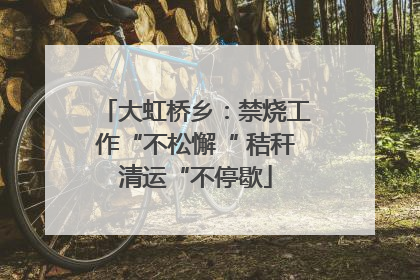 大虹桥乡：禁烧工作“不松懈“ 秸秆清运“不停歇