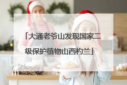 大通老爷山发现国家二级保护植物山西杓兰