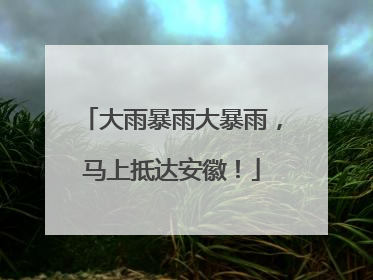 大雨暴雨大暴雨，马上抵达安徽！