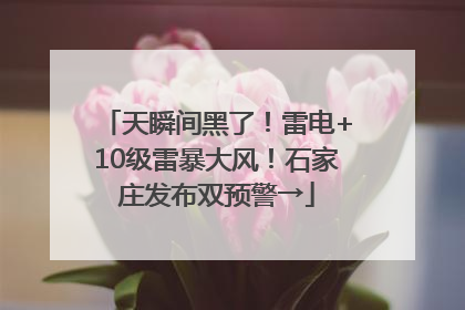 天瞬间黑了！雷电+10级雷暴大风！石家庄发布双预警→