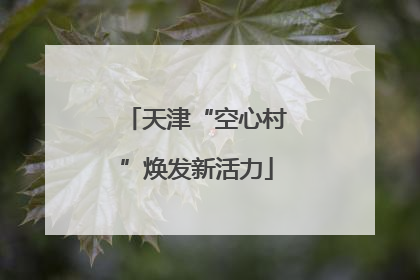 天津“空心村”焕发新活力