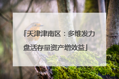 天津津南区：多维发力盘活存量资产增效益