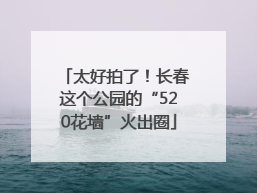 太好拍了！长春这个公园的“520花墙”火出圈