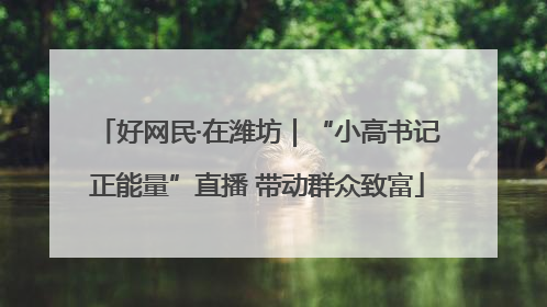 好网民·在潍坊｜“小高书记正能量”直播 带动群众致富