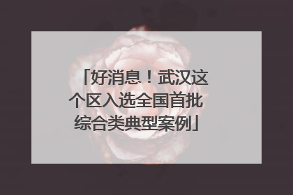 好消息！武汉这个区入选全国首批综合类典型案例