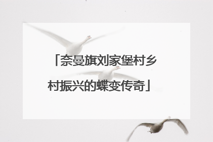 奈曼旗刘家堡村乡村振兴的蝶变传奇