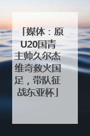 媒体：原U20国青主帅久尔杰维奇救火国足，带队征战东亚杯