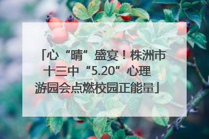 心“晴”盛宴！株洲市十三中“5.20”心理游园会点燃校园正能量