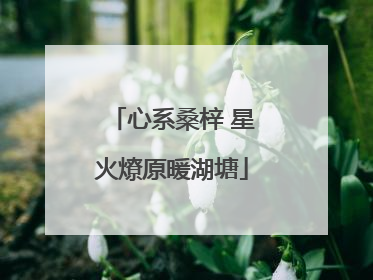 心系桑梓 星火燎原暖湖塘