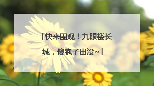 快来围观！九眼楼长城，傻狍子出没~