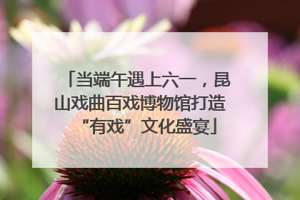 当端午遇上六一，昆山戏曲百戏博物馆打造“有戏”文化盛宴