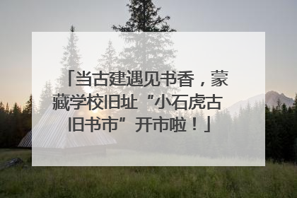 当古建遇见书香，蒙藏学校旧址“小石虎古旧书市”开市啦！