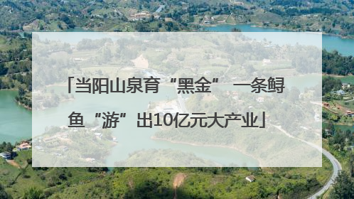 当阳山泉育“黑金” 一条鲟鱼“游”出10亿元大产业