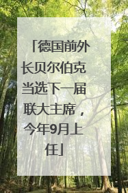 德国前外长贝尔伯克当选下一届联大主席，今年9月上任