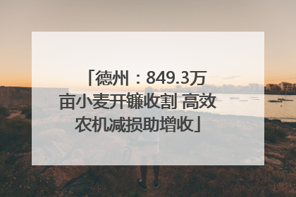 德州：849.3万亩小麦开镰收割 高效农机减损助增收