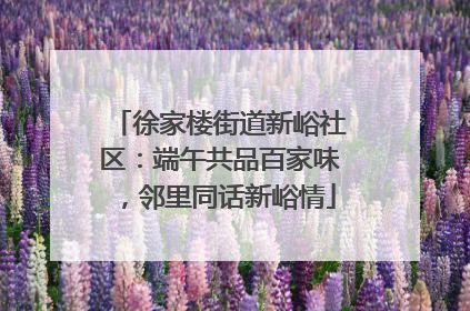 徐家楼街道新峪社区：端午共品百家味，邻里同话新峪情