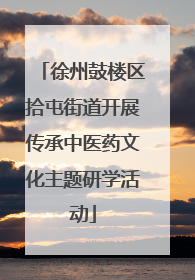 徐州鼓楼区拾屯街道开展传承中医药文化主题研学活动