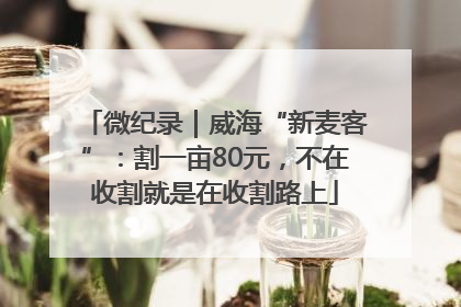 微纪录｜威海“新麦客”：割一亩80元，不在收割就是在收割路上